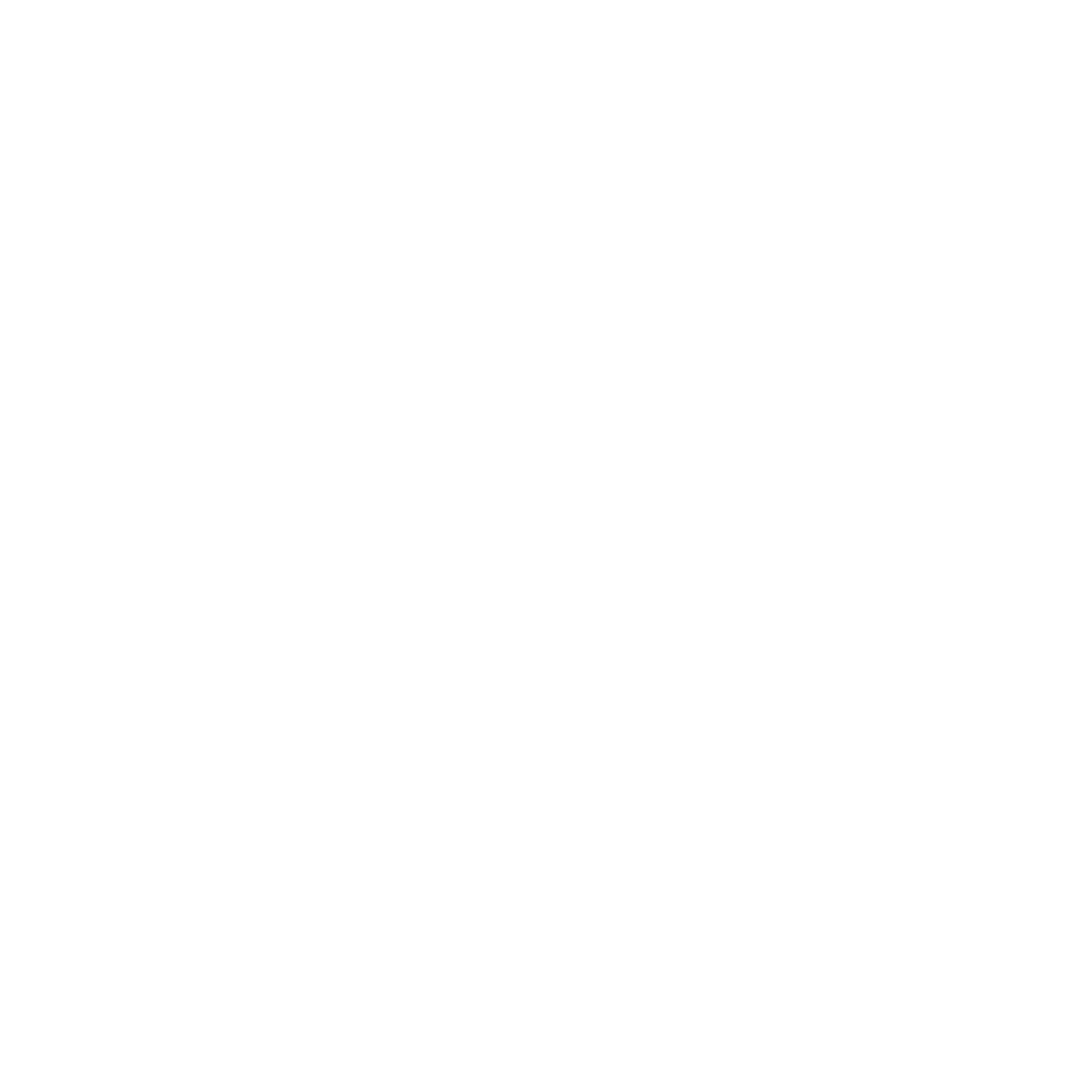 Seta
